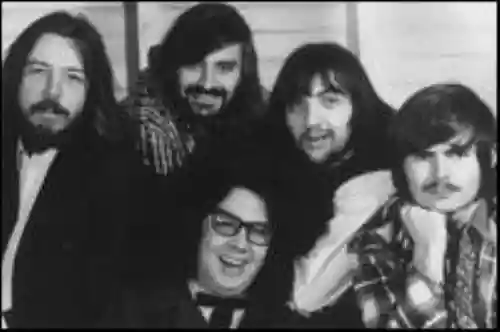 The Turtles