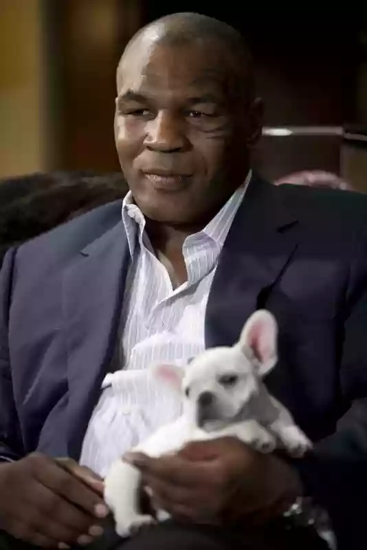 Tyson