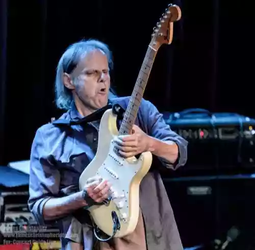 Walter Trout