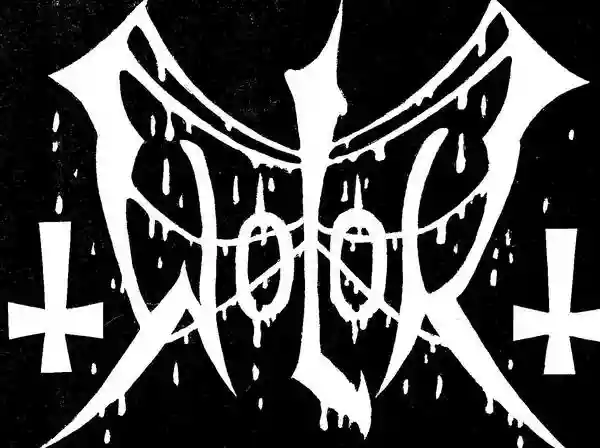 Wolok