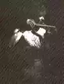 Zorro