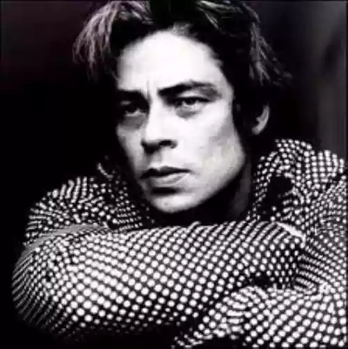 Benicio Del Toro