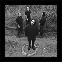 Black Noise Cannon