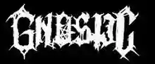 Gnostic