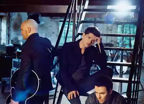 The Script
