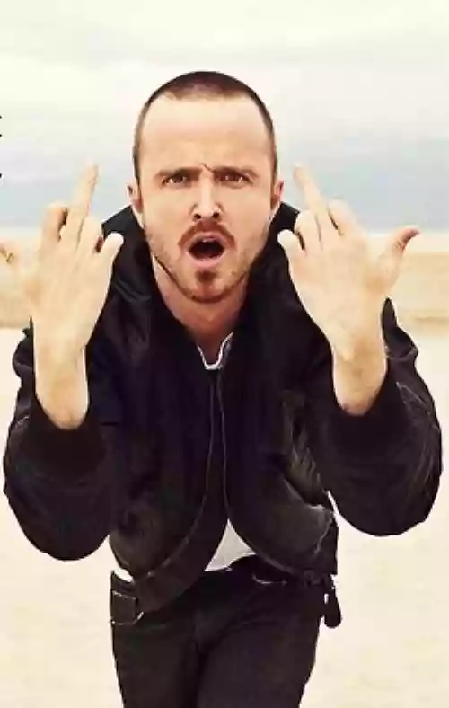 Aaron Paul