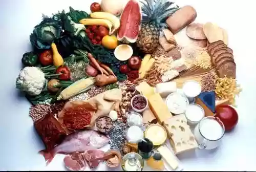 Cibo