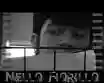 Nello Fiorillo