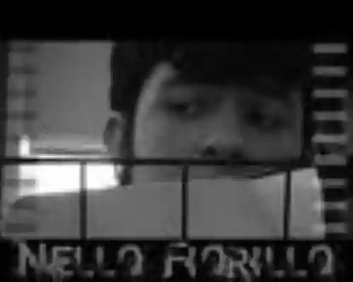 Nello Fiorillo