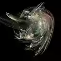 Waltz