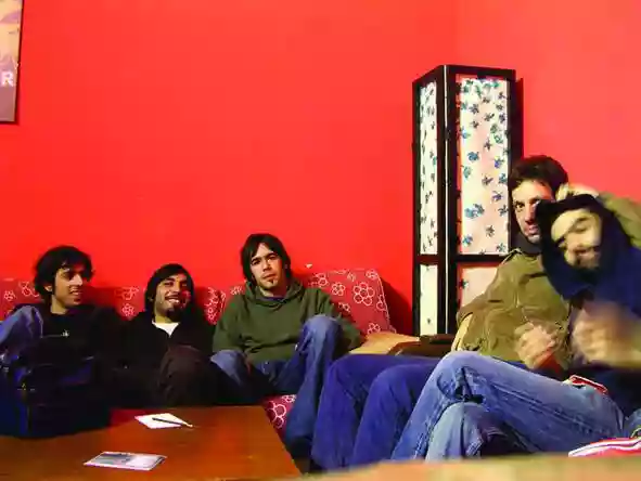 Mashrooms