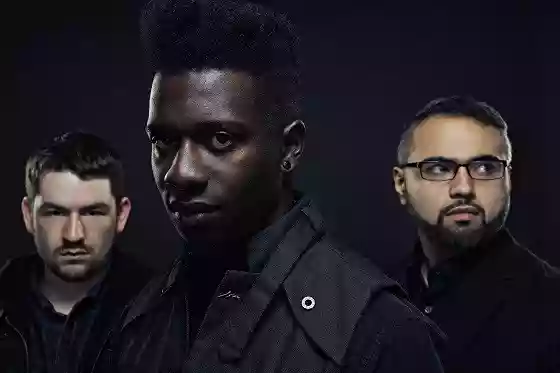 Animals as Leaders