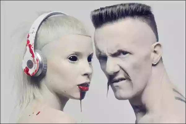 Die Antwoord