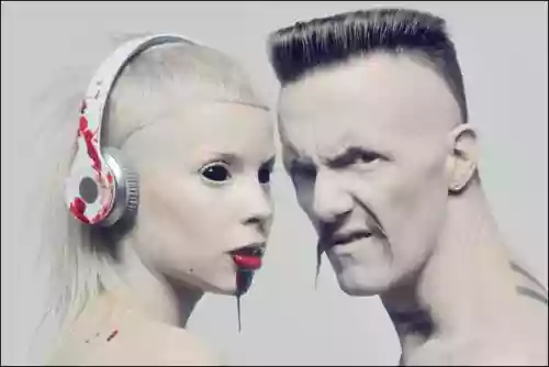 Die Antwoord