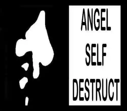 Angel Self Destruct