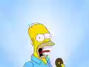 Homer