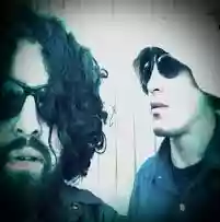 THE SMOKING TREES