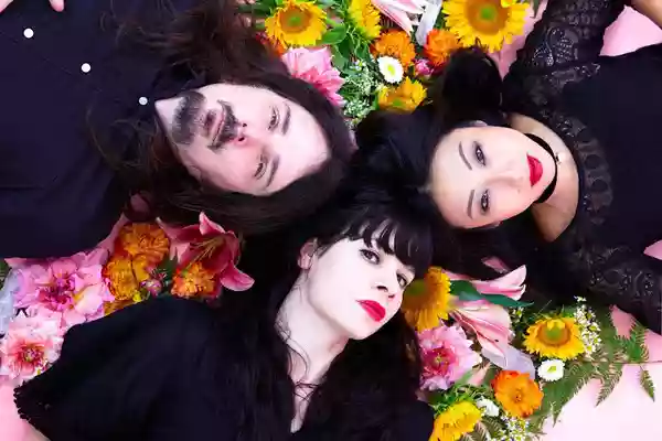 The Stargazer Lilies