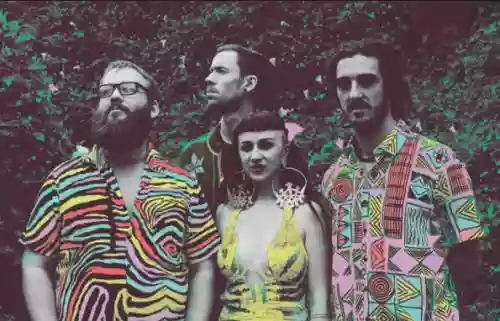 Hiatus Kaiyote