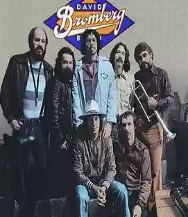 David Bromberg Band