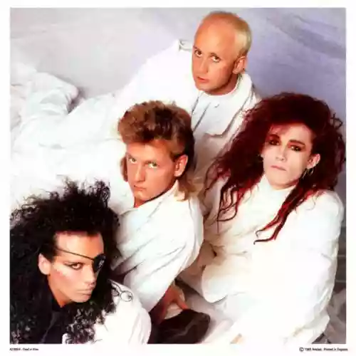 Dead or Alive