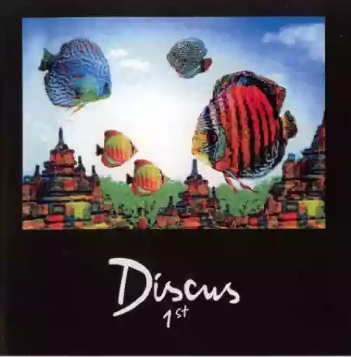 Discus