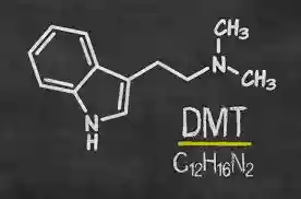 DMT