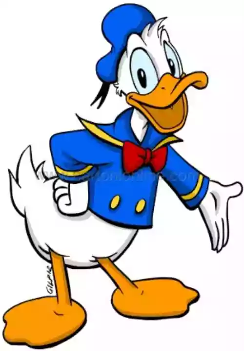 Donald Duck