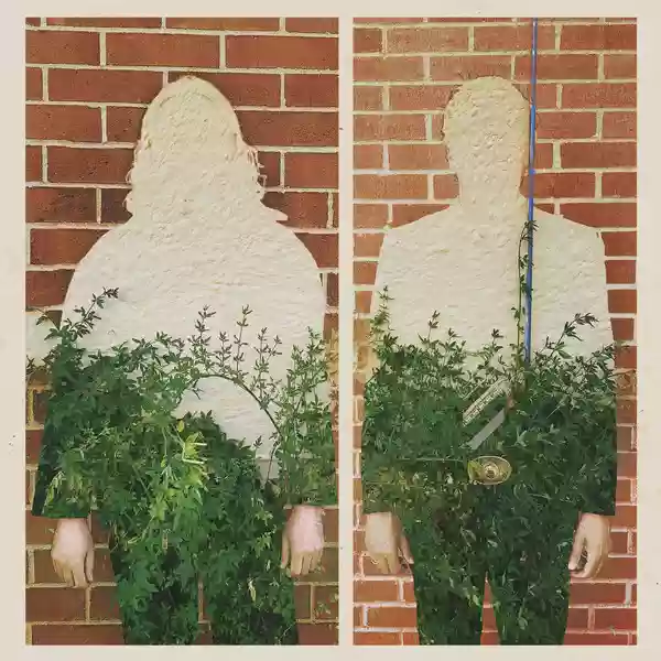 Trees Speak