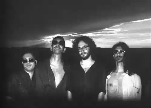 The Rootworkers