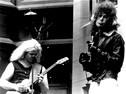 The Electric Eels