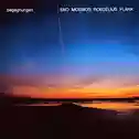 Eno - Moebius - Roedelius - Plank