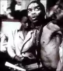 Fela Anikulapo Kuti & Egypt 80