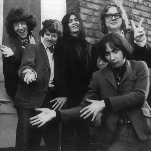 Flamin' Groovies