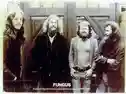 Fungus