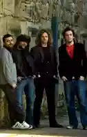 Gun