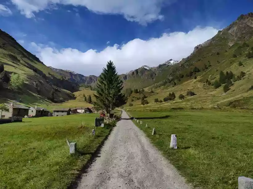 Ingrandisci questa immagine