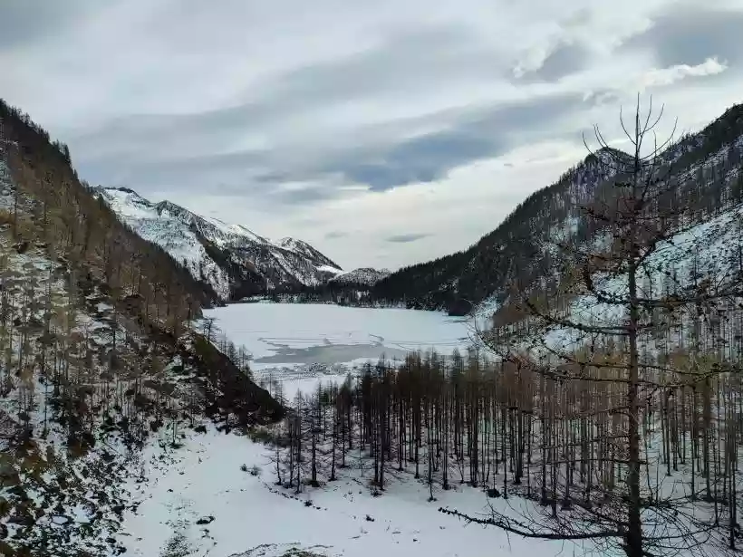 Ingrandisci questa immagine