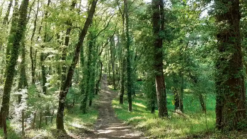 Ingrandisci questa immagine