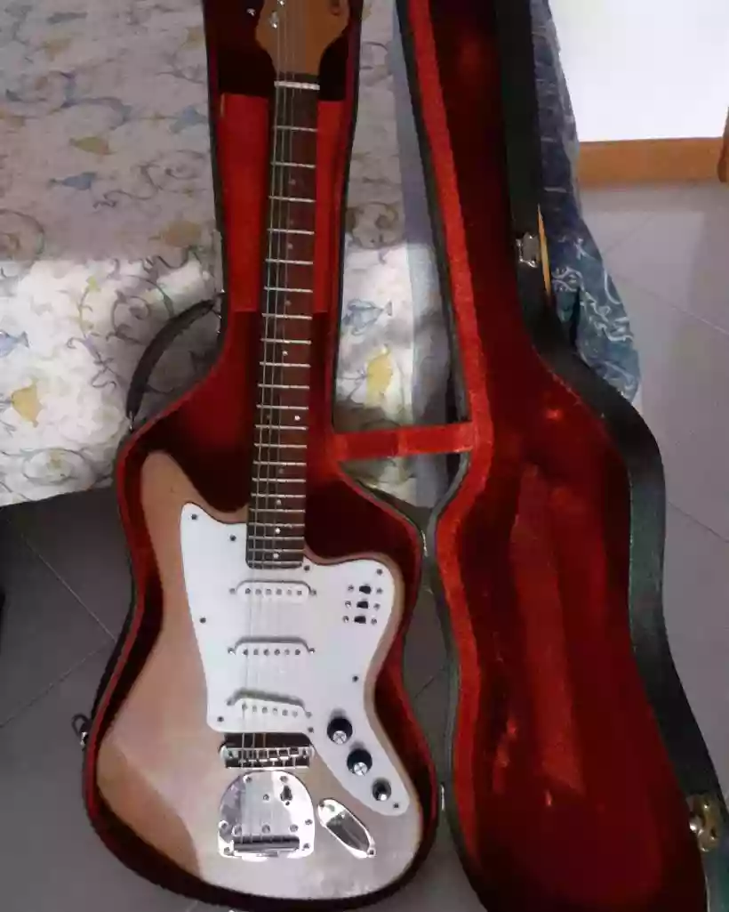 Ingrandisci questa immagine