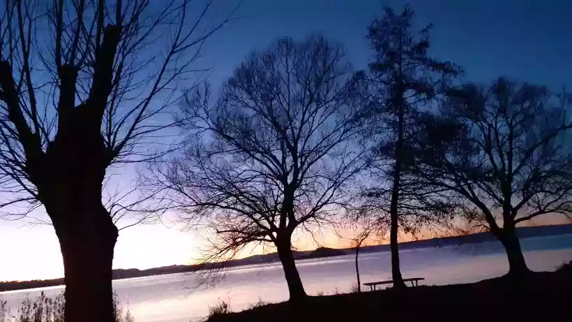 Ingrandisci questa immagine