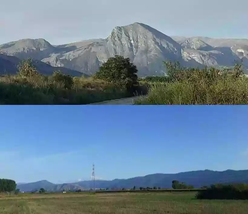 Ingrandisci questa immagine