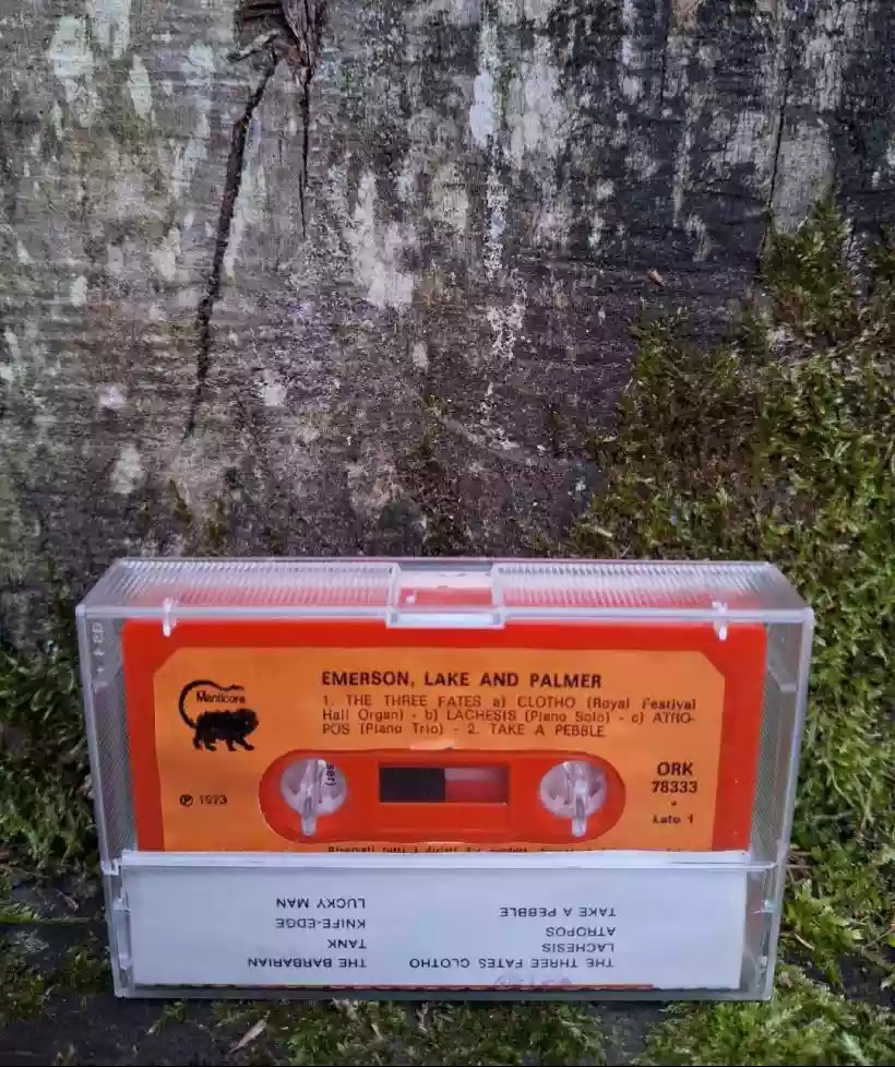 Ingrandisci questa immagine