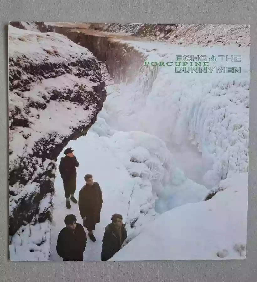 Ingrandisci questa immagine