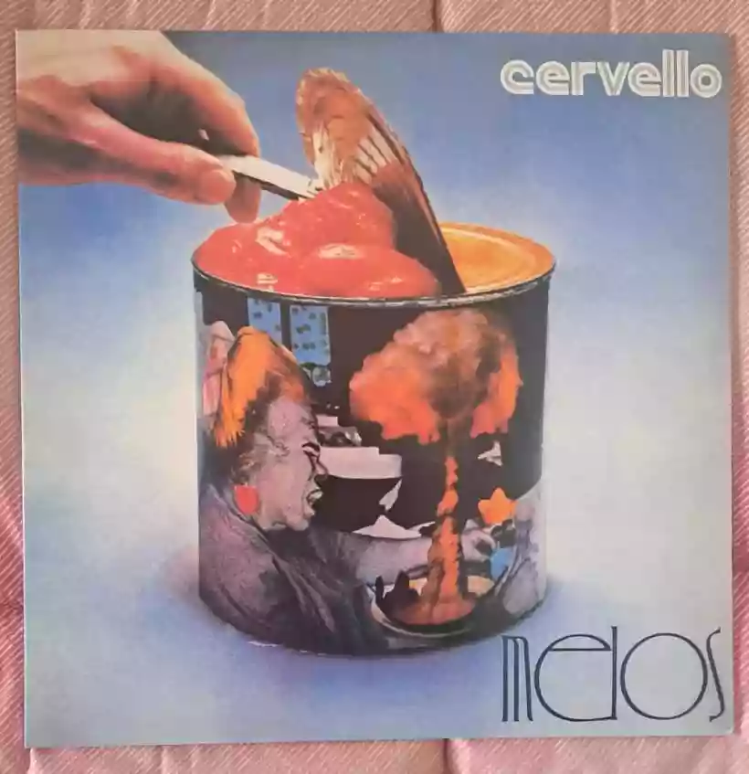 Ingrandisci questa immagine
