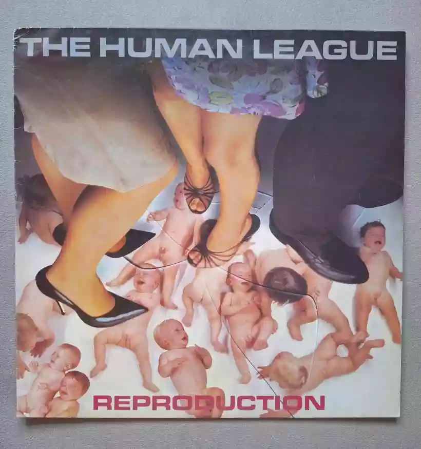 Ingrandisci questa immagine