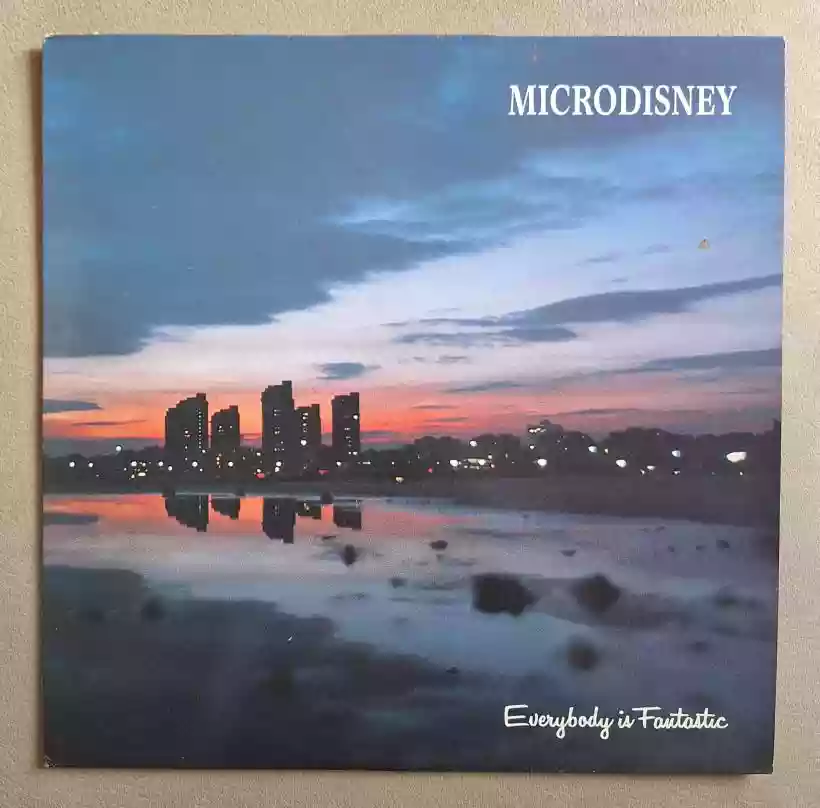 Ingrandisci questa immagine