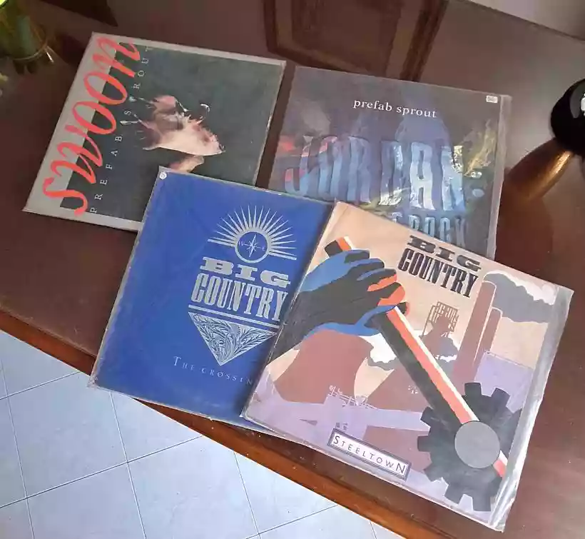 Ingrandisci questa immagine