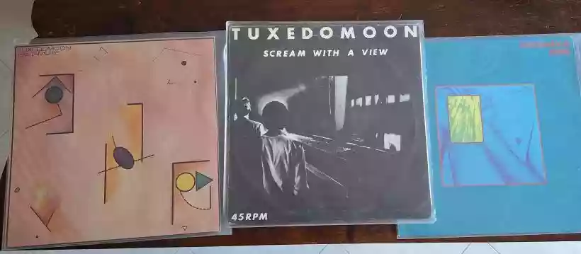 Ingrandisci questa immagine