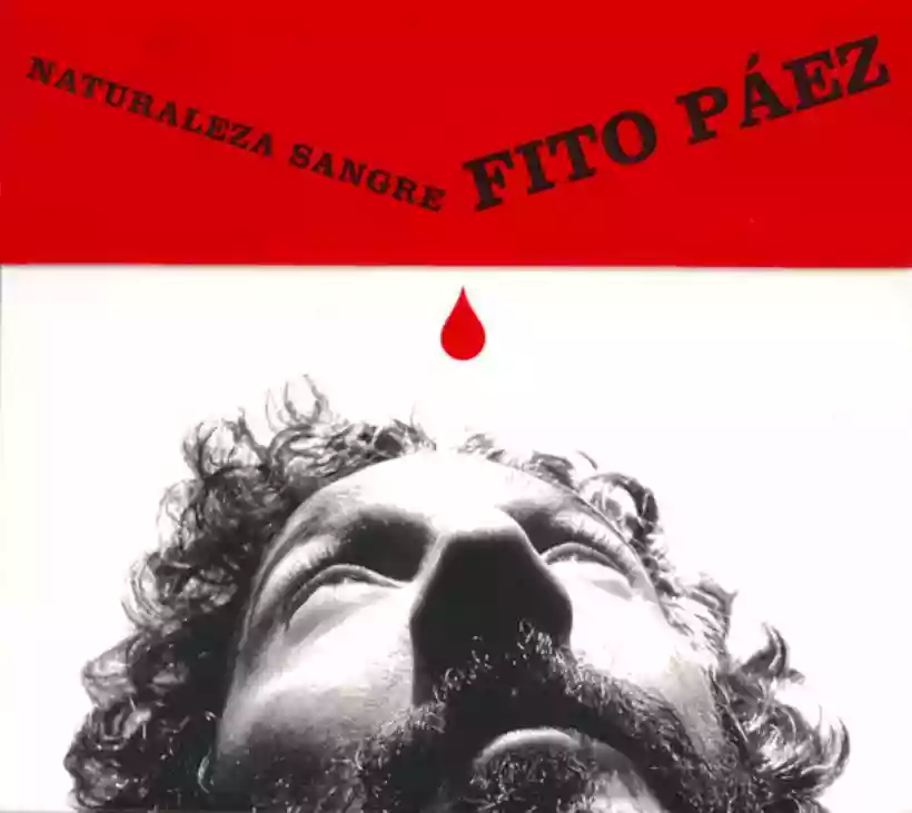 Ingrandisci questa immagine